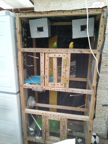 תמונת מודעה - חיות מחמד