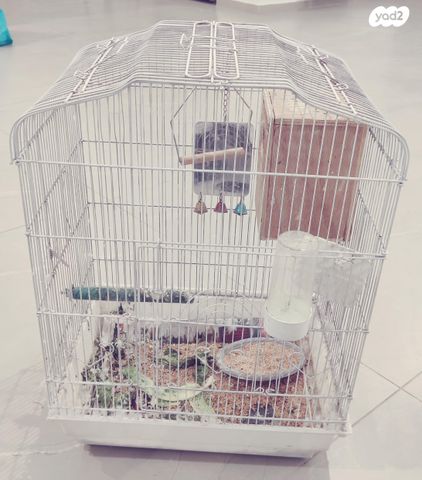 תמונת מודעה - חיות מחמד