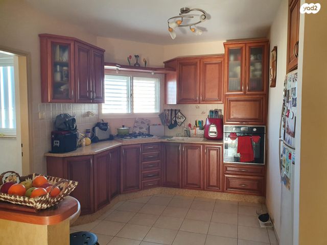 הרשל גרינשפן 16