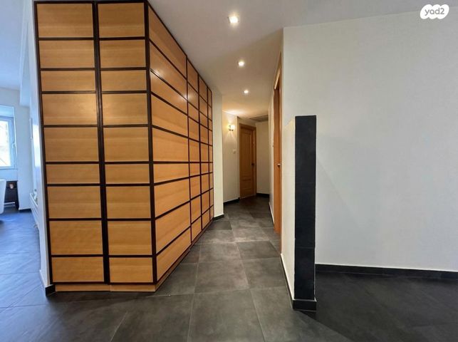 ג'ורג' וושינגטון 19