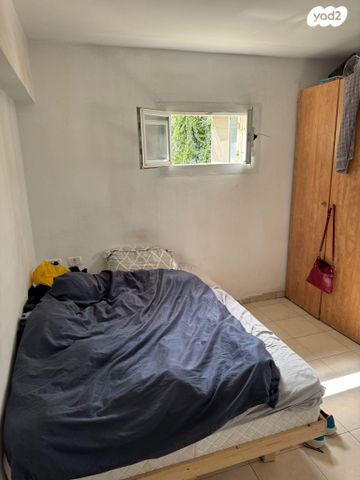 דוד שמעוני 39