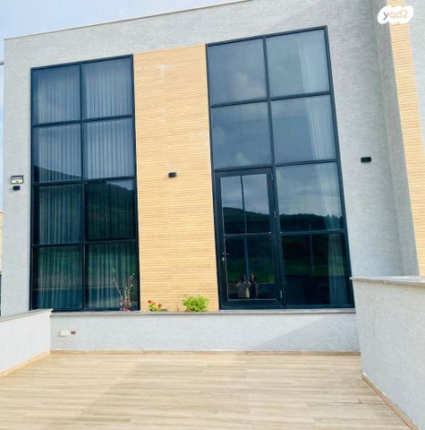 חורשת האקליפטוס 44