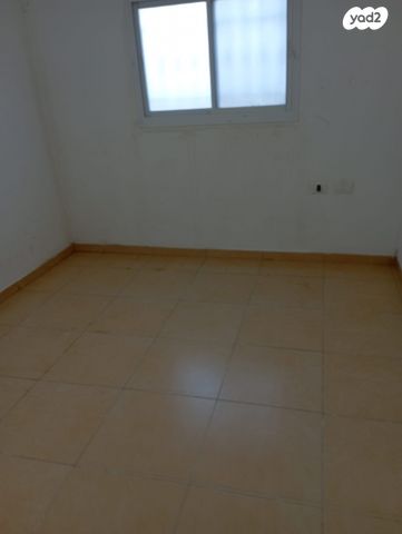 אריה דולצ'ין 8