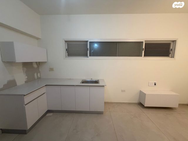 חשמונאים 101