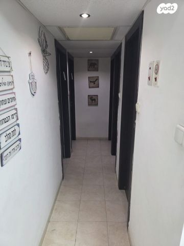 החשמונאים 41