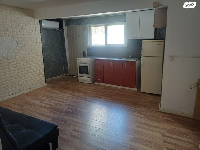 אלכסנדר ינאי 14