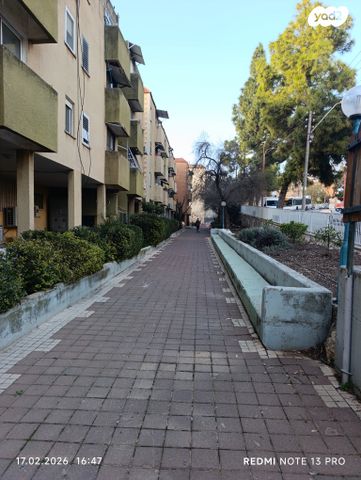 ז'בוטינסקי 438