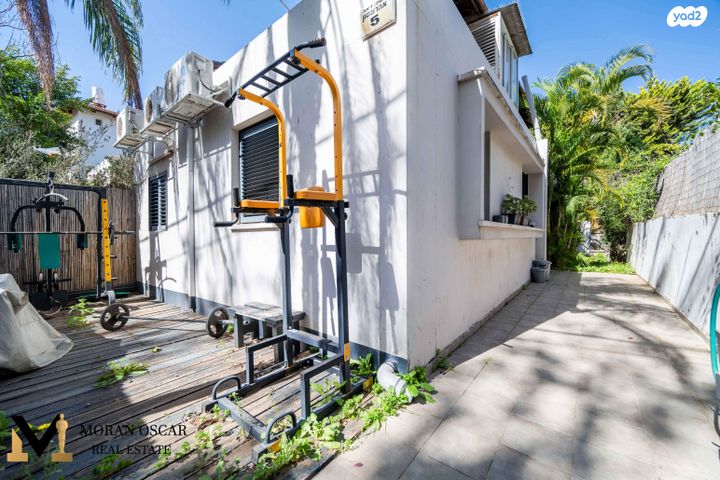 שרה אהרונסון 5