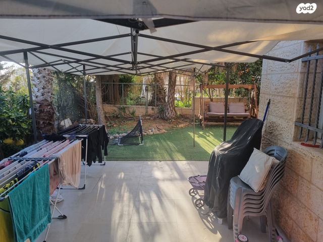 אריה דולצ'ין 