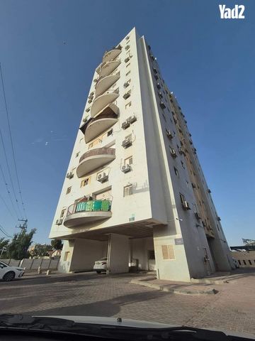 דרך השלום 56