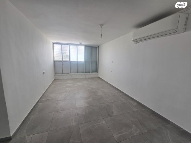 אריה בן אליעזר 