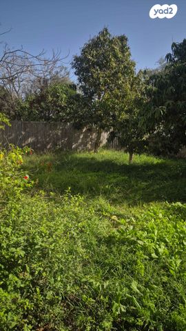 בית פרטי/ קוטג', רשפון, רשפון