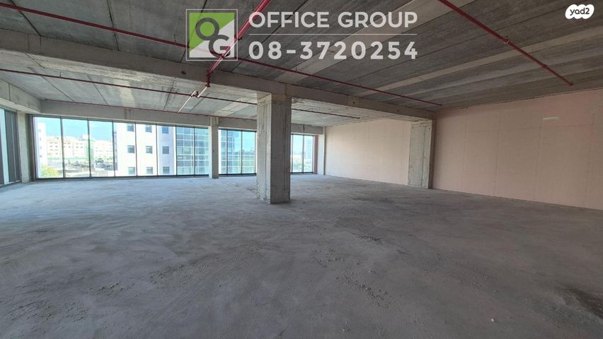 אלי הורוביץ 