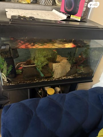 תמונת מודעה - חיות מחמד