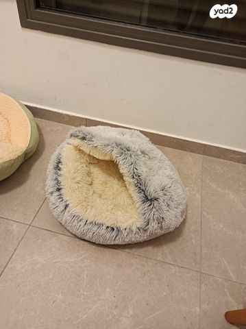 תמונת מודעה - חיות מחמד