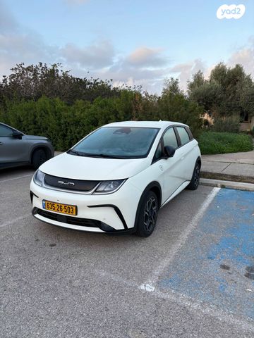 מודעת רכב בי.ווי.די דולפין