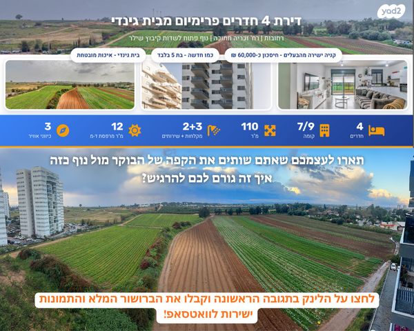 זכריה חתוכה 8