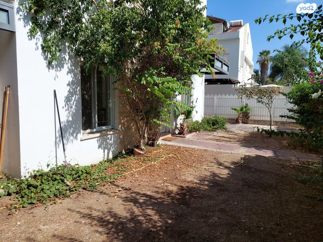 יצחק יציב 61