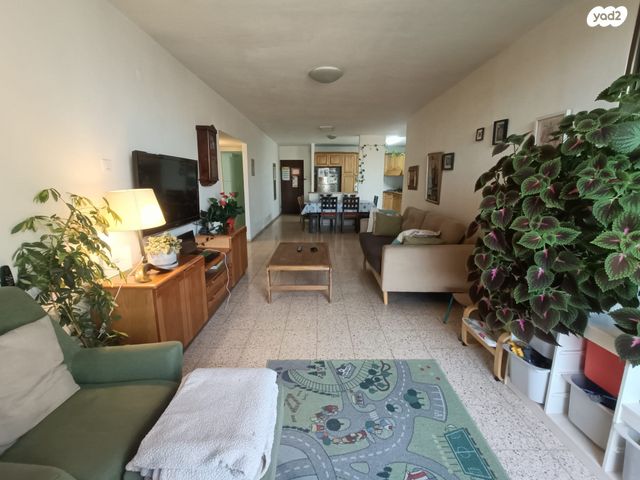 ד"ר מוסקוביץ' 13