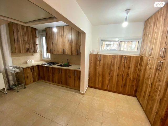 שועלי שמשון 6