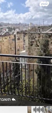 דוד שמעוני 10