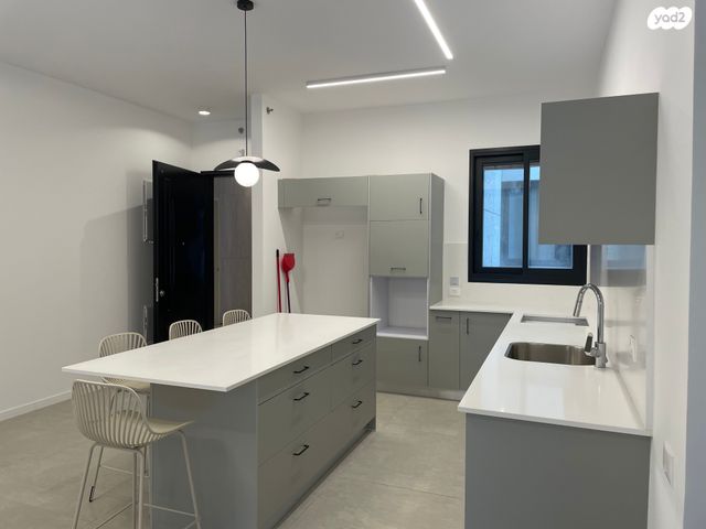 יצחק שמיר 28