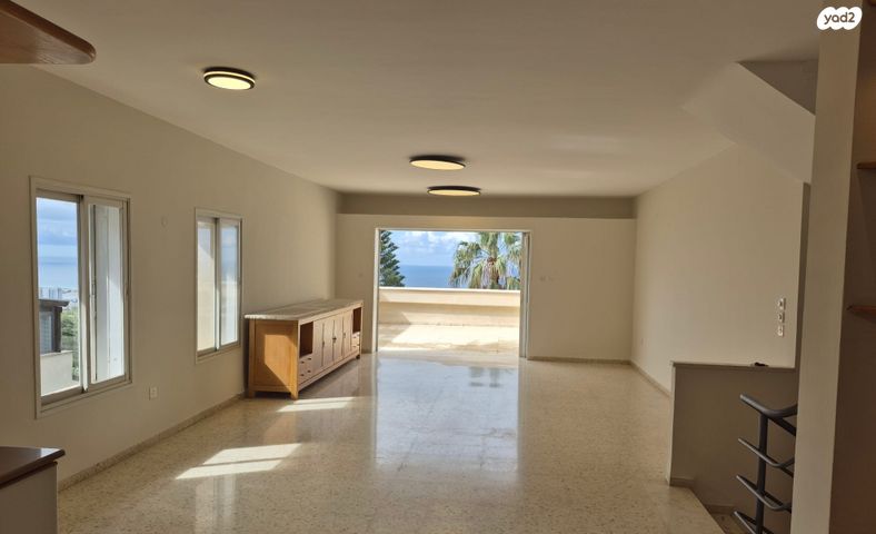 אלברט שווייצר 37