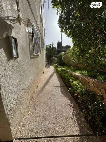 בנימין ד'ישראלי 51