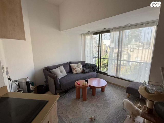 יהודה המכבי 40