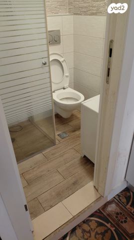 שלומציון המלכה 14