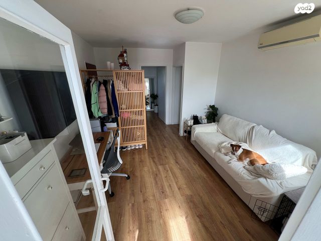 דוד בר רב האי 36