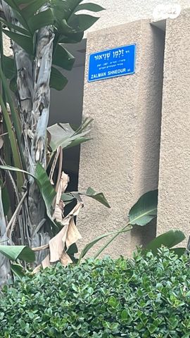 זלמן שניאור 7