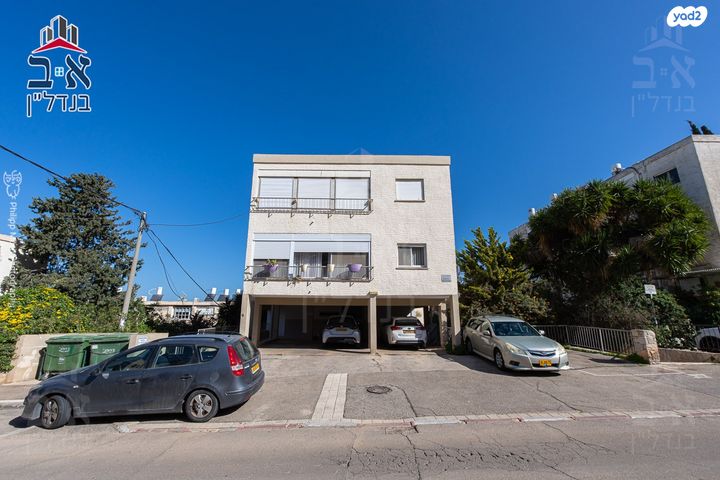 שושנת הכרמל 