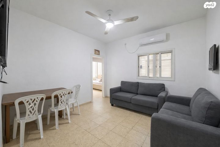 דוד וולפסון 