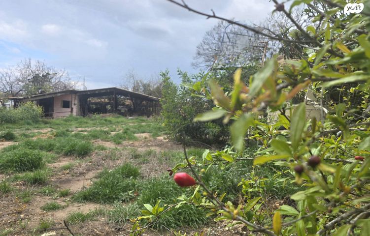 משק חקלאי/ נחלה