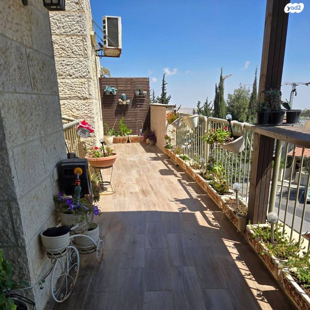 שמואל תמיר כצנלסון 