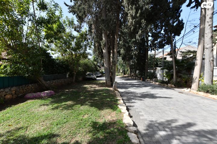 אליעזר שטיינברג 