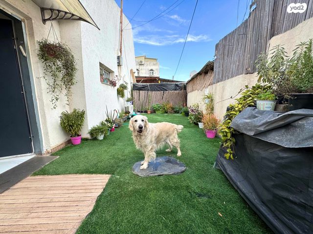 קיבוץ גלויות 