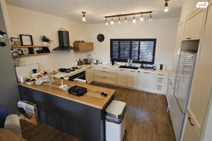 זאב וינהויז 