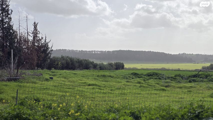 משק חקלאי/ נחלה