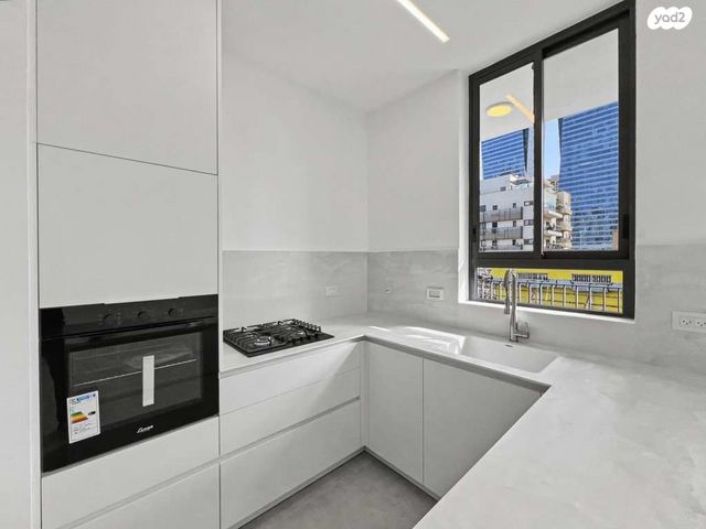 נתן ילין מור 1