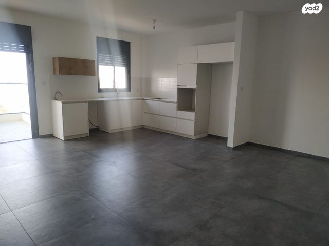 זכריה חתוכה 8