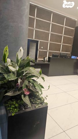 משרדים, בת ים