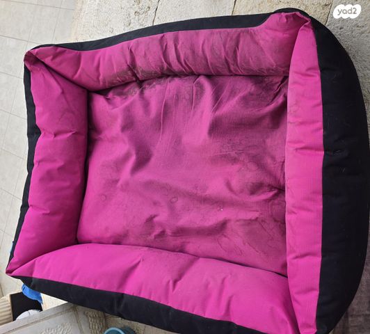 תמונת מודעה - חיות מחמד