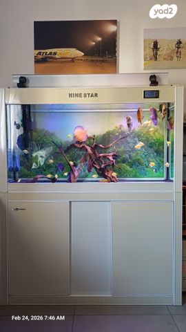 תמונת מודעה - חיות מחמד