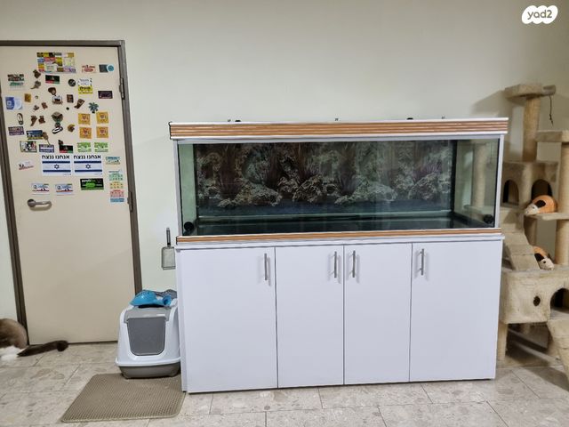 תמונת מודעה - חיות מחמד