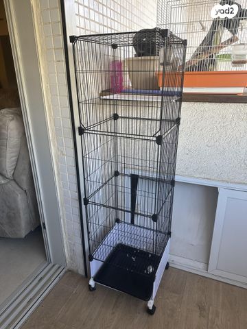 תמונת מודעה - חיות מחמד