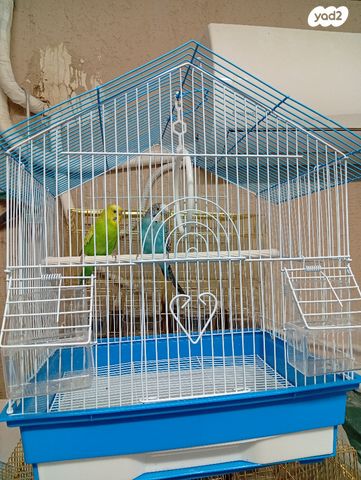 תמונת מודעה - חיות מחמד