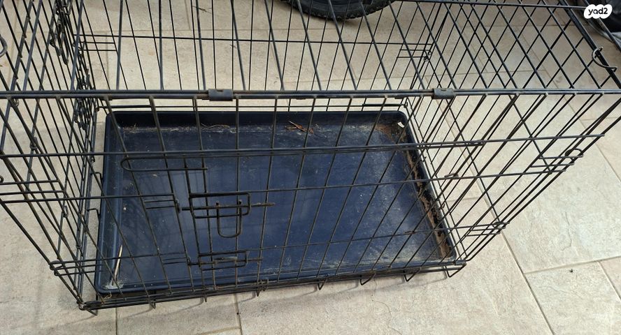 תמונת מודעה - חיות מחמד