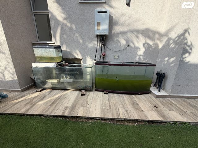 תמונת מודעה - חיות מחמד